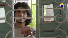 Tauba - Episode 43 - 29th November 2024